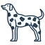 Dalmation icon