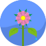 Fleur icon