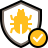 Protection Success icon