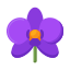 Orchidee icon