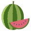 Watermelon icon