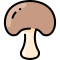 Mushroom icon