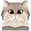 Chat icon