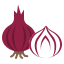 Onion icon