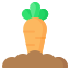 carrot icon