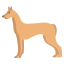 Pharaoh Hound icon