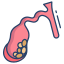 gallbladder disease icon