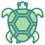 Tortue icon