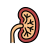 Unhealthy Kidney icon