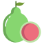 Guava icon