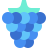 Framboesa icon