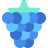 Raspberry icon