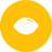 Citrus icon