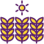 Rogner icon