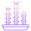 cactus icon