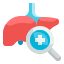 liver icon