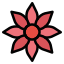 孤挺花 icon
