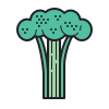 color hand drawn style broccolini icon