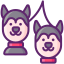 husky siberiano icon