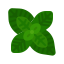pfefferminze icon