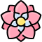 внешние-георгины-цветы-виталия-горбачев-линейный-цвет-виталик-горбачев icon