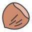 Hazelnut icon