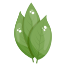 Estoques de esmagamento de folhas-vegetais externos-estoques de esmagamento planos icon
