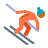 pele-de-esqui-alpino-tipo-4 icon