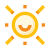 sole icon