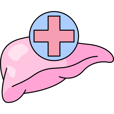 liver icon