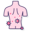 Skin Allergy icon