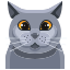 Cat icon