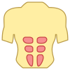 腹筋 icon