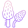 Morel Mushrooms icon