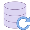 Data Backup icon