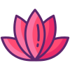 Lotus Flower icon