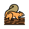 Squirrel icon