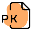 PK is an Audition Peak File that contains the visual representation of an audio waveform icon