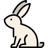 Rabbit icon