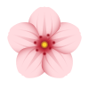 Kirschblüte icon