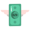 Money icon