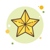 Estrella de Navidad icon