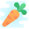 Carota icon