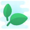 Cibo naturale icon