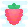 Raspberry icon