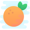 Orange icon