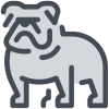 Buldogue icon