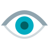 Eye icon