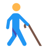 Disabled Access icon