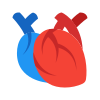 Coeur médical icon